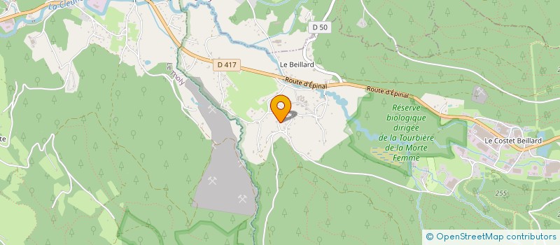 localisation de l'entreprise MADAME VALERIE BURNEQUEZ  GERARDMER