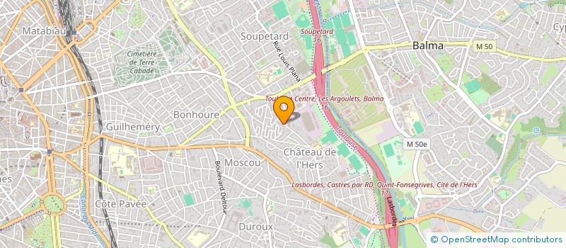 localisation de l'entreprise MADAME VALERIE DANFLOUS à TOULOUSE