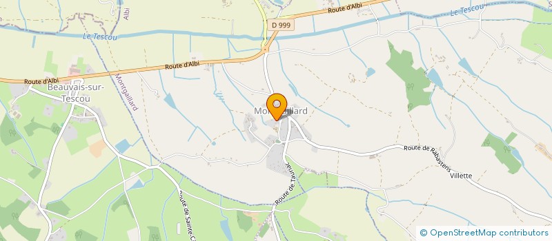 localisation de l'entreprise MADAME VALERIE DE LOZZO  MONTGAILLARD