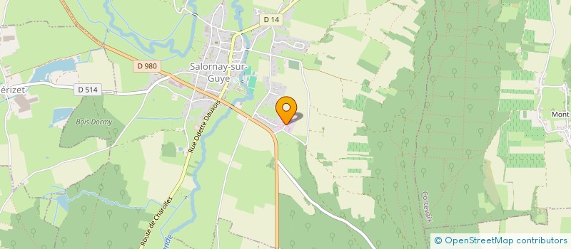 localisation de l'entreprise MADAME VALERIE DUCHET  SALORNAY-SUR-GUYE
