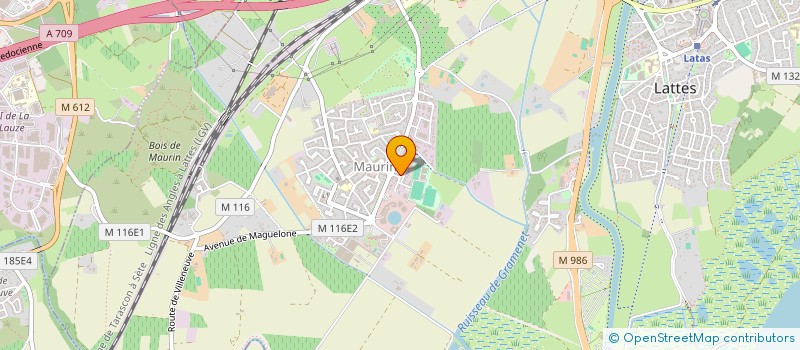 localisation de l'entreprise MADAME VALERIE HEIM à LATTES