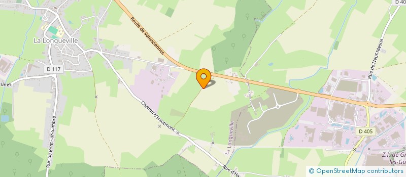 localisation de l'entreprise MADAME VALERIE MICHEL  LA LONGUEVILLE