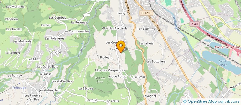 localisation de l'entreprise MADAME VALERIE PAYRAUD  SALLANCHES