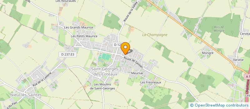 localisation de l'entreprise MADAME VALERIE PUCHAU  SAINT-GEORGES-DES-COTEAUX