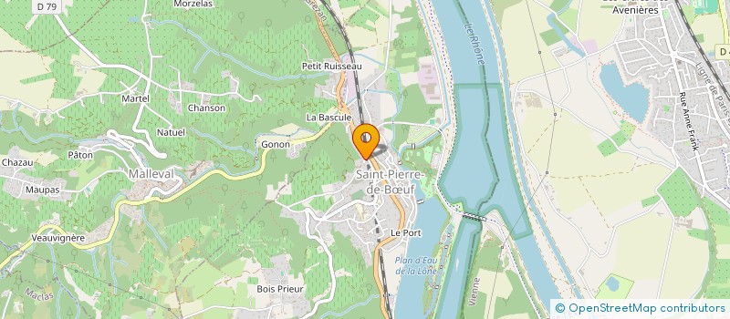 localisation de l'entreprise MADAME VALERIE ROCHE  SAINT-PIERRE-DE-BUF