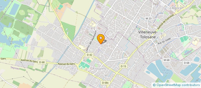 localisation de l'entreprise MADAME VALERIE SOUCHON  FROUZINS