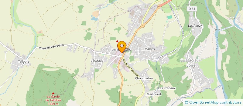 localisation de l'entreprise MADAME VALERIE VIALLA  CUSSAC-SUR-LOIRE