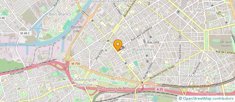 localisation de l'entreprise MADAME VALERIE VINCHENT à LILLE