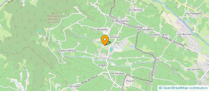 localisation de l'entreprise MADAME VALERIIA KRASOVSKAIA  CHENAS