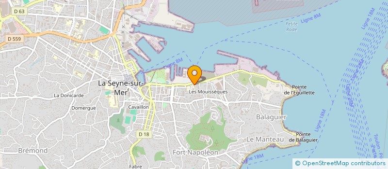 localisation de l'entreprise MADAME VANESSA DA SILVA LOPES  LA SEYNE-SUR-MER