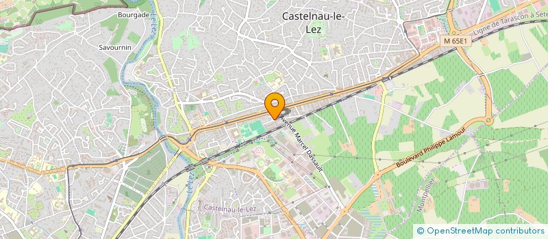 localisation de l'entreprise MADAME VANESSA DUSSEL à CASTELNAU-LE-LEZ