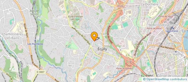 localisation de l'entreprise MADAME VANESSA FLACELIERE-ERNIMO  ECULLY