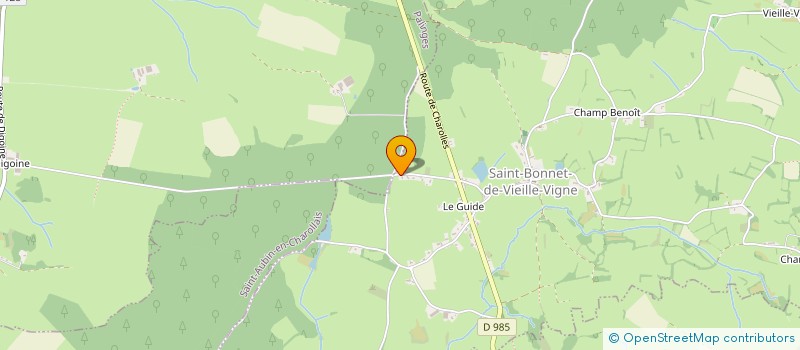 localisation de l'entreprise MADAME VANESSA LAIR  SAINT-BONNET-DE-VIEILLE-VIGNE