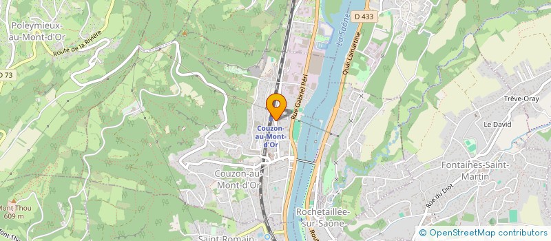 localisation de l'entreprise MADAME VANESSA OLSHANSKA  COUZON-AU-MONT-D'OR