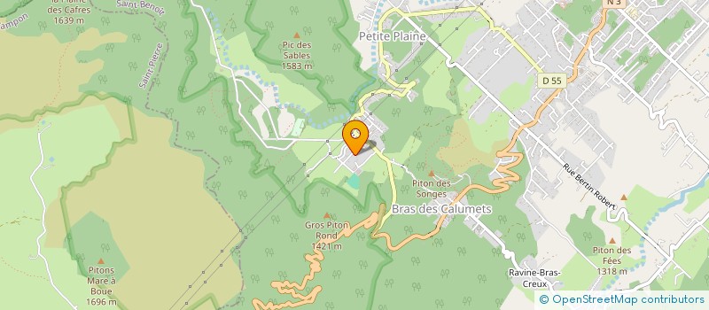 localisation de l'entreprise MADAME VANESSA PITOU  LA PLAINE-DES-PALMISTES