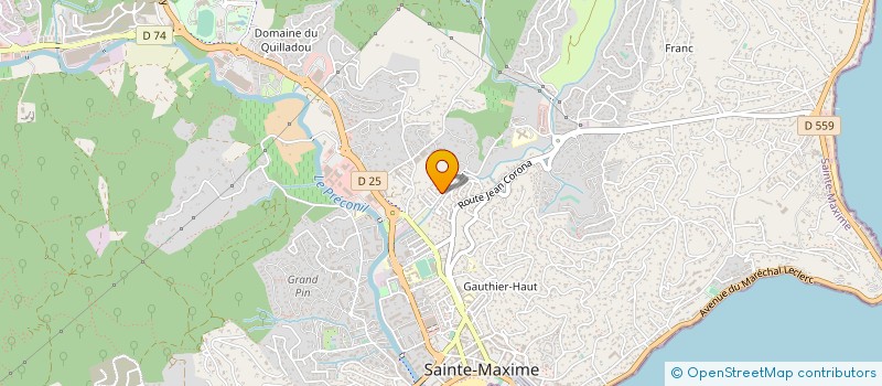 localisation de l'entreprise MADAME VANESSA VERNET à SAINTE-MAXIME