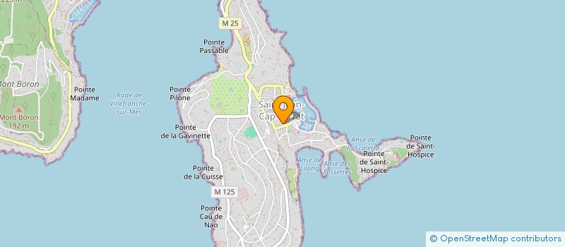 localisation de l'entreprise MADAME VANGELYS BELTRAM  SAINT-JEAN-CAP-FERRAT