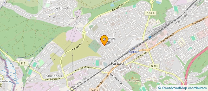 localisation de l'entreprise MADAME VANIA DAS NEVES SILVA  FORBACH