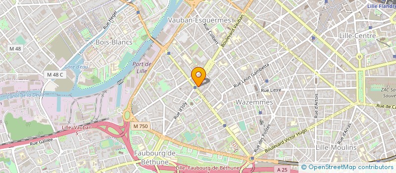 localisation de l'entreprise MADAME VANINA DEBOUVRY à LILLE