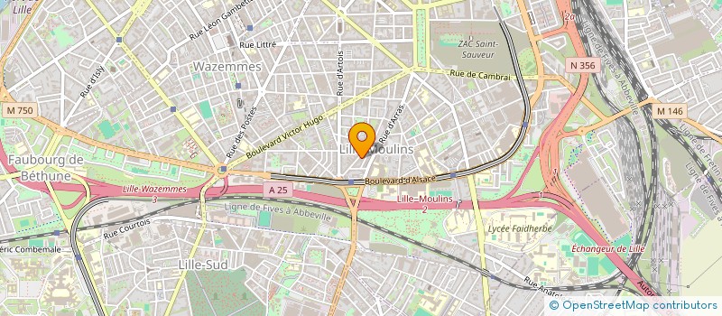 localisation de l'entreprise MADAME VANYDA SAVATIER à LILLE