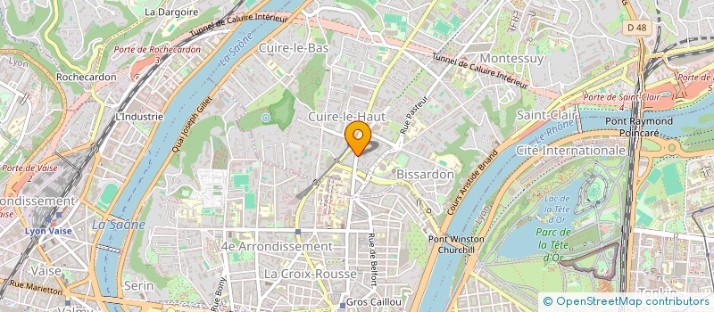 localisation de l'entreprise MADAME VEN NGUYEN  CALUIRE-ET-CUIRE