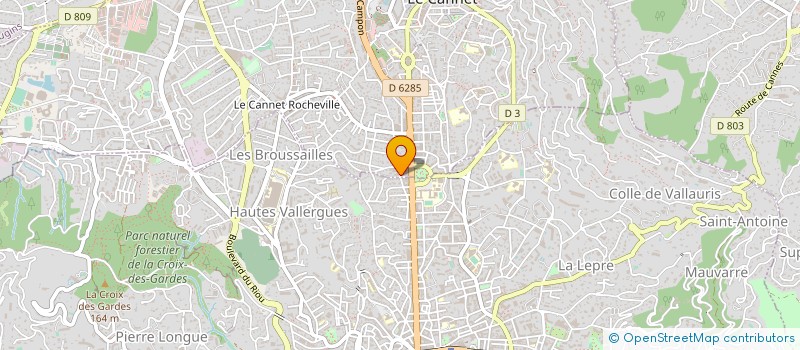 localisation de l'entreprise MADAME VENTZISLAVA CHOYKOVA à LE CANNET