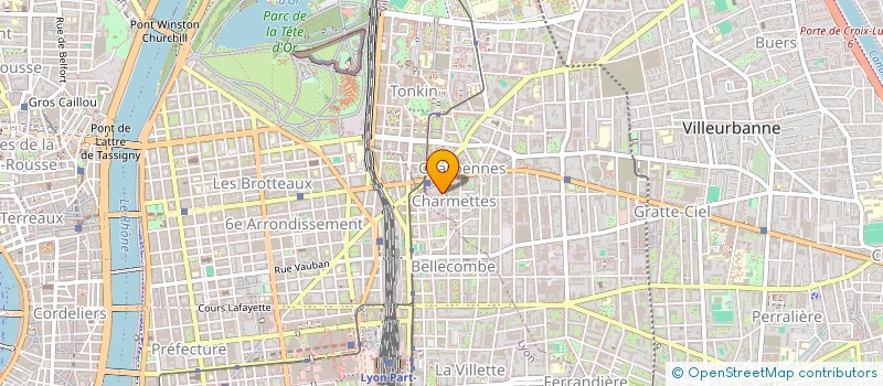 localisation de l'entreprise MADAME VERA RAUS  VILLEURBANNE