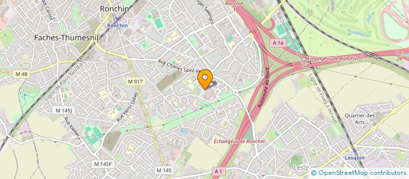 localisation de l'entreprise MADAME VERA TOMILINA  RONCHIN