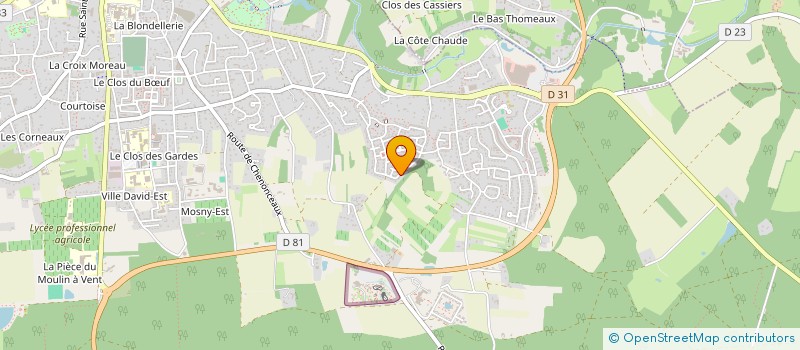 localisation de l'entreprise MADAME VERONIKA SIMONOVA à AMBOISE