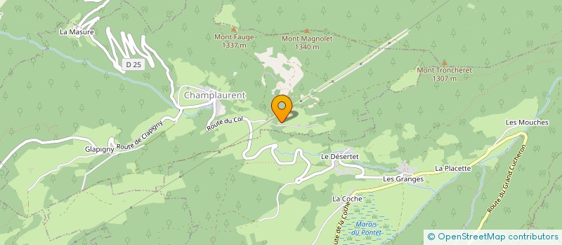 localisation de l'entreprise MADAME VERONIQUE AFFRETTE DIT TRIDON  CHAMPLAURENT