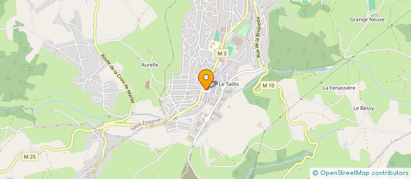 localisation de l'entreprise MADAME VERONIQUE ARGAUD  ROCHE-LA-MOLIERE