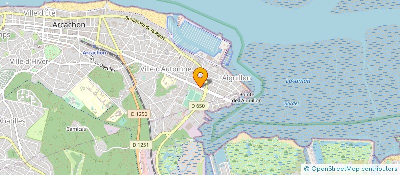 localisation de l'entreprise MADAME VERONIQUE BARRE à ARCACHON