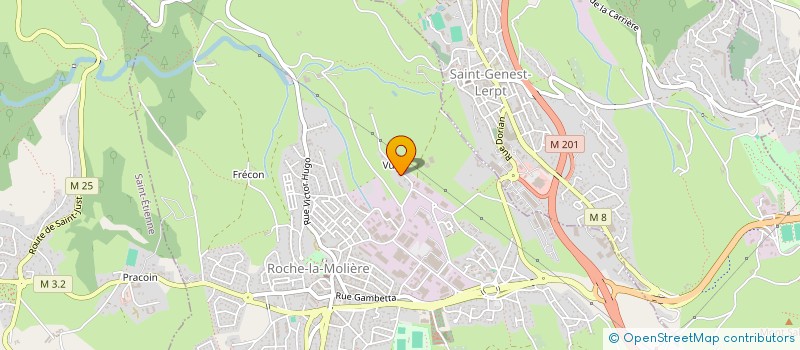 localisation de l'entreprise MADAME VERONIQUE BEAUGER  FIRMINY