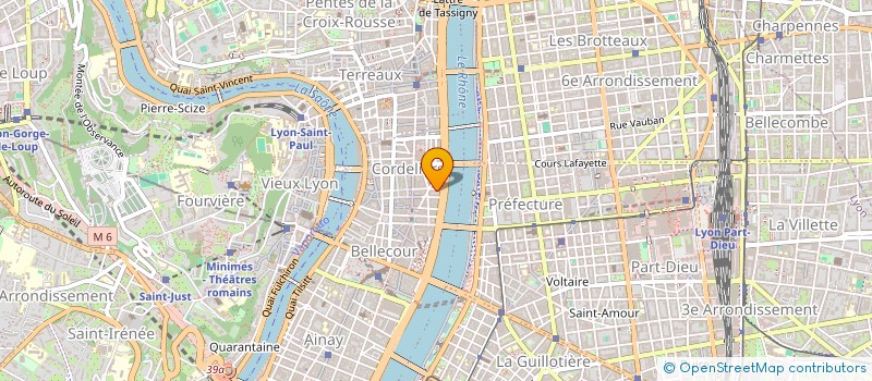 localisation de l'entreprise MADAME VERONIQUE BERLIOZ ARTHAUD  LYON