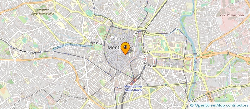 localisation de l'entreprise MADAME VERONIQUE BERTHEZENE à MONTPELLIER