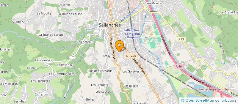 localisation de l'entreprise MADAME VERONIQUE BERTINO  SALLANCHES