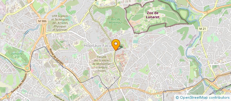 localisation de l'entreprise MADAME VERONIQUE BLATIERE à MONTPELLIER