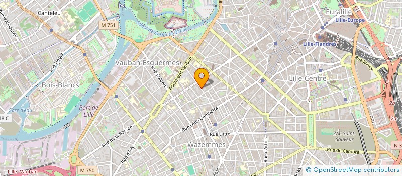 localisation de l'entreprise MADAME VERONIQUE BOIS  LILLE
