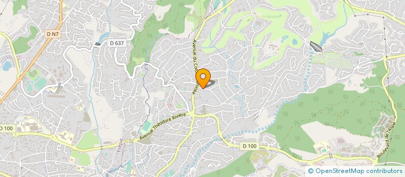 localisation de l'entreprise MADAME VERONIQUE BORREMAN  SAINT-RAPHAEL