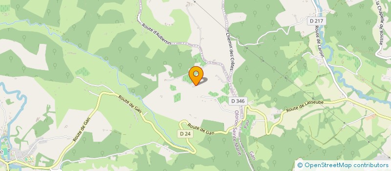 localisation de l'entreprise MADAME VERONIQUE BOURINET  LASSEUBE