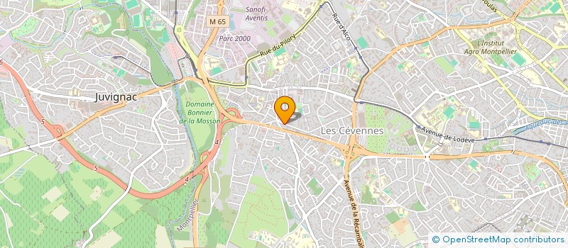 localisation de l'entreprise MADAME VERONIQUE BOUTET à MONTPELLIER