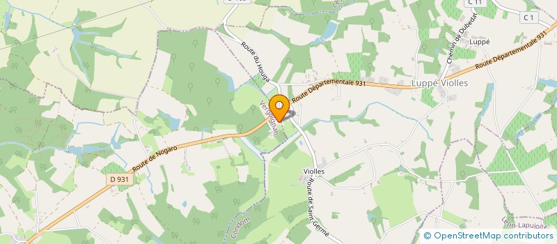 localisation de l'entreprise MADAME VERONIQUE BRAGAGNOLO  SION