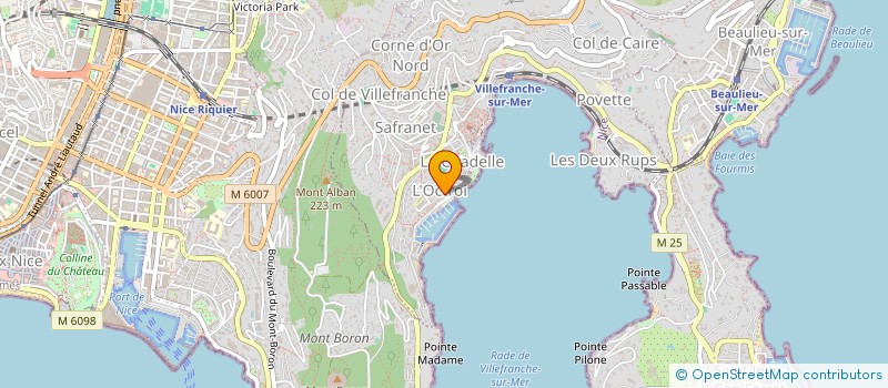localisation de l'entreprise MADAME VERONIQUE BRAJKOVIC  VILLEFRANCHE-SUR-MER