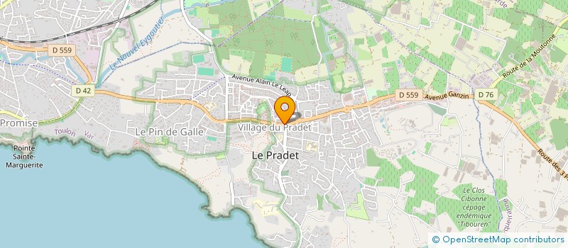 localisation de l'entreprise MADAME VERONIQUE CARPICO à LE PRADET