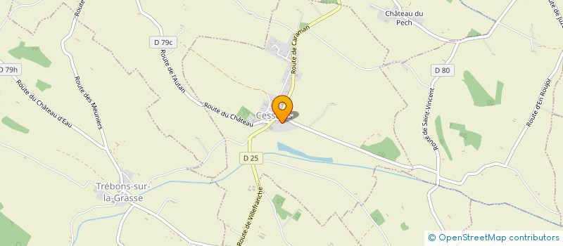 localisation de l'entreprise MADAME VERONIQUE CASTELLE  CESSALES