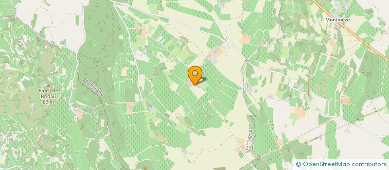 localisation de l'entreprise MADAME VERONIQUE CHANTELOUP  MONTAGNAC