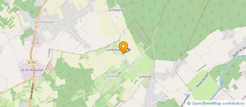 localisation de l'entreprise MADAME VERONIQUE COCHIN GUIGNEBERT  LES MONTILS