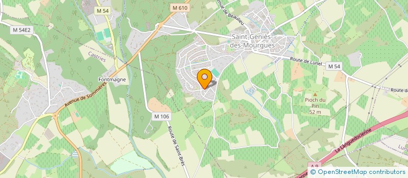 localisation de l'entreprise MADAME VERONIQUE COLSON  SAINT-GENIES-DES-MOURGUES