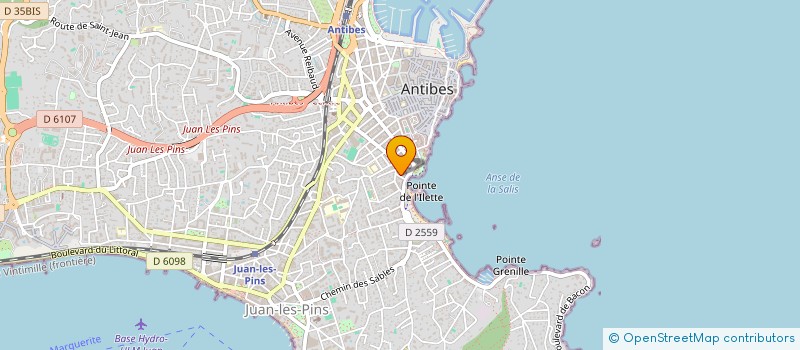 localisation de l'entreprise MADAME VERONIQUE COURTEAU  ANTIBES