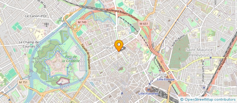 localisation de l'entreprise MADAME VERONIQUE DARGON à LILLE